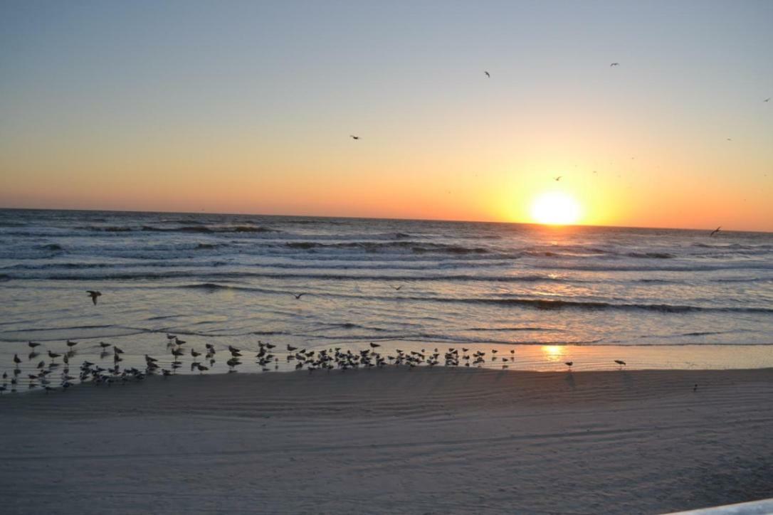 Daytona Beach Studio Condo With Beautiful Ocean View Extérieur photo
